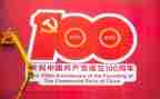 心得体会100周年心得体会5篇