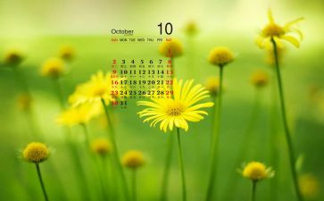 10月10日讲话稿6篇