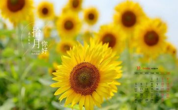 大班10月份工作计划5篇