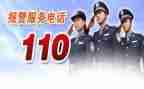 110宣传活动的总结通用6篇