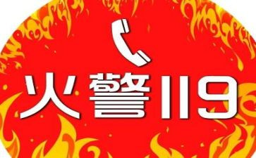 公司119工作总结通用6篇