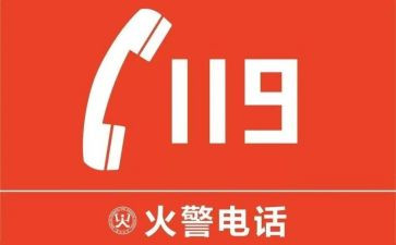 119全国消防月活动总结最新8篇