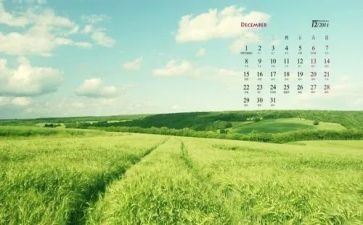 转正申请书202312月最新7篇