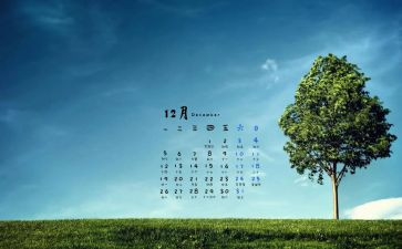 12月工作总结范文5篇