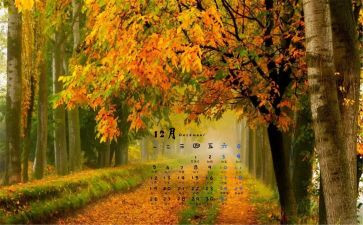转正申请书202312月推荐7篇