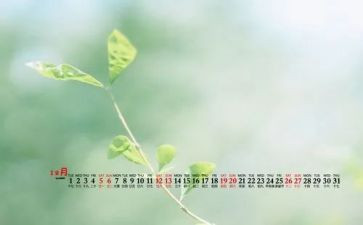 2024年12月个人总结6篇