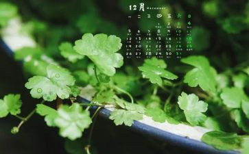 12月份心得体会7篇