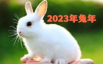 2023年512防灾减灾宣传活动总结5篇