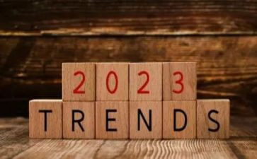 2023年体育老师述职报告5篇