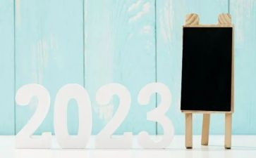 2023年大班保育老师工作计划7篇