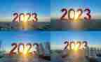 2023银行对公柜员工作总结6篇