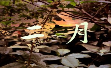 幼儿园大大班2月工作总结5篇