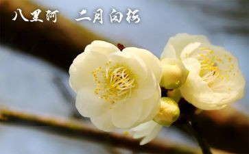 幼儿园小班2月份工作计划6篇