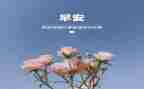 安全生产3月份工作总结5篇