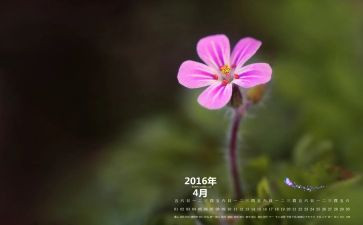 幼儿园小小班4月份工作总结5篇