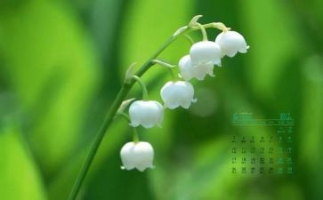2024年4月份工作总结通用5篇