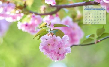 幼儿园4月工作计划5篇
