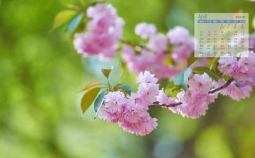 4月工作计划模板7篇