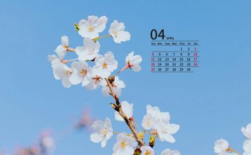 幼儿园4月份中班工作总结8篇
