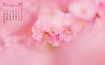 4月的工作计划参考5篇