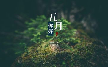 3到5月份的工作总结7篇