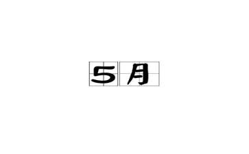 出纳5月工作总结6篇
