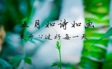 工作总结5月总结模板8篇