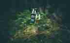 中班5月份工作计划6篇
