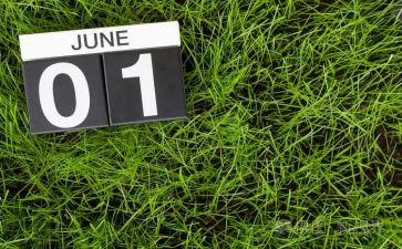 幼儿园中班6月份工作计划8篇