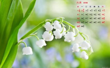 幼儿小班6月份工作计划5篇
