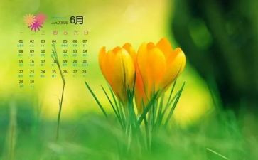幼儿教师6月分工作总结7篇