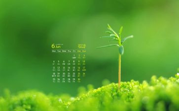 小小班6月份工作总结8篇