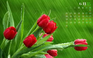 6月安全生产月心得体会5篇