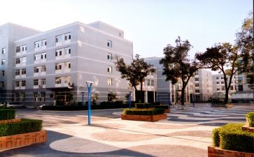 985学生写的作文模板7篇