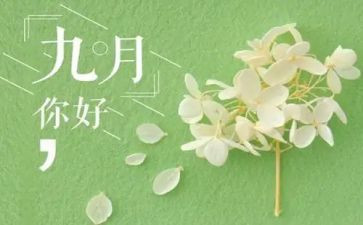 幼儿园小小班9月份工作总结优质8篇