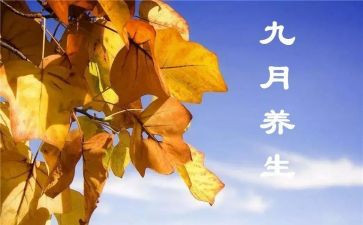 幼儿园9月份教师工作总结精选5篇