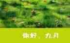 幼儿教师9月份工作月总结5篇
