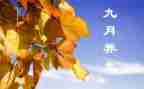 幼儿园9月份教师工作总结精选5篇