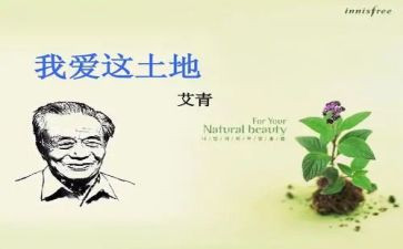 艾青《桥》的读后感推荐6篇