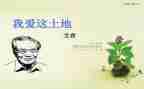 艾青《桥》的读后感优质5篇