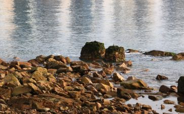 海与岸读后感模板8篇