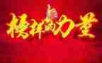 我的榜样的作文800字推荐7篇