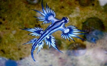 生物教学个人年度总结6篇