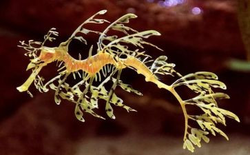 生物教师工作总结参考6篇