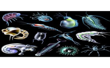 生物高二下学期工作计划6篇