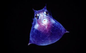 八上生物工作总结推荐5篇