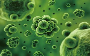 生物教师述职个人述职报告7篇