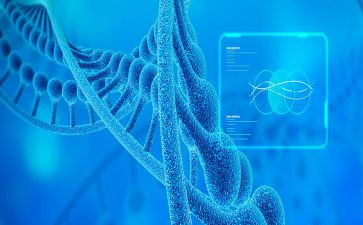 关于生物的总结报告7篇