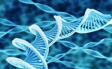 生物教师年度考核工作总结6篇