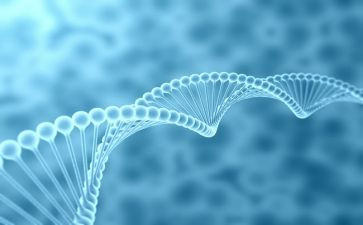 上学期高中生物组工作总结6篇